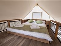 Glamping Tent