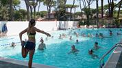 Mare E Pineta International Camping