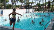 Mare E Pineta International Camping